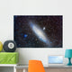 Andromeda Galaxy with Companions Wall Decal