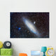 Andromeda Galaxy with Companions Wall Decal