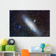 Andromeda Galaxy with Companions Wall Decal