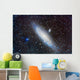 Andromeda Galaxy with Companions Wall Decal