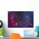 Supernova Remnants and Star Wall Decal