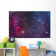 Supernova Remnants and Star Wall Decal