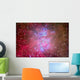 Orion Nebula Region Wall Decal