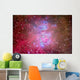 Orion Nebula Region Wall Decal