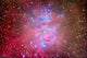 Orion Nebula Region Wall Decal