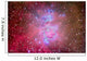 Orion Nebula Region Wall Decal