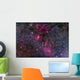 Messier 52 and Bubble Wall Decal