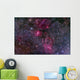 Messier 52 and Bubble Wall Decal