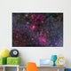 Messier 52 and Bubble Wall Decal