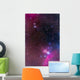 Messier 78 Horsehead Nebula Wall Decal