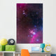 Messier 78 Horsehead Nebula Wall Decal