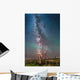 Milky Way over Old Wall Decal