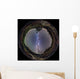 Fish-eye Panorama Milky Way Wall Decal Design 2
