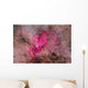 Ngc 6193 Nebulosity Ara Wall Decal