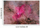 Ngc 6193 Nebulosity Ara Wall Decal