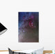 Orion and Canis Major Wall Decal Design 2