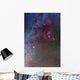 Orion and Canis Major Wall Decal Design 2