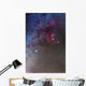 Orion and Canis Major Wall Decal Design 2