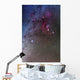 Orion and Canis Major Wall Decal Design 2