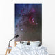 Orion and Canis Major Wall Decal Design 2