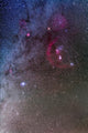 Orion and Canis Major Wall Decal Design 2