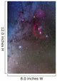 Orion and Canis Major Wall Decal Design 2