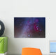 Orion and Canis Major Wall Decal Design 1