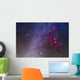 Orion and Canis Major Wall Decal Design 1