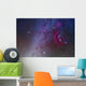 Orion and Canis Major Wall Decal Design 1