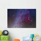 Orion and Canis Major Wall Decal Design 1