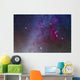 Orion and Canis Major Wall Decal Design 1