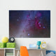 Orion and Canis Major Wall Decal Design 1