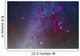 Orion and Canis Major Wall Decal Design 1
