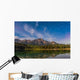 Star Trails over Patricia Wall Decal