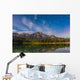 Star Trails over Patricia Wall Decal