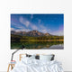 Star Trails over Patricia Wall Decal