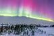 Pink Aurora over Boreal Wall Decal