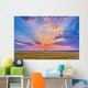Prairie Sunset with Crepuscular Wall Decal