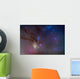 Area around Head Scorpius Wall Decal