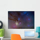 Area around Head Scorpius Wall Decal