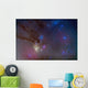Area around Head Scorpius Wall Decal