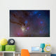 Area around Head Scorpius Wall Decal