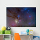 Area around Head Scorpius Wall Decal