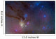Area around Head Scorpius Wall Decal