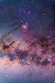 Scorpius with Parts Lupus Wall Decal