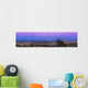 Belt Venus and Full Wall Decal