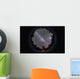 Fish-eye Panorama Southern Night Wall Decal