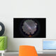 Fish-eye Panorama Southern Night Wall Decal