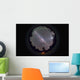 Fish-eye Panorama Southern Night Wall Decal