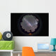 Fish-eye Panorama Southern Night Wall Decal